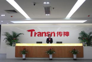 傳神語聯(lián)網(wǎng)全鏈布局初步完成 助力翻譯回歸服務本質(zhì)